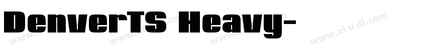 DenverTS Heavy字体转换